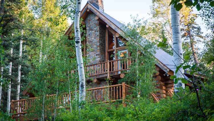 The Lodge